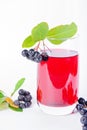 Glass of aronia juice with berries