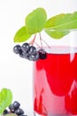 Glass of aronia juice with berries