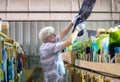 Man examines the colors in pieces of stained glass Royalty Free Stock Photo