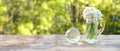 glass ball globe, bouquet of wild garlic flowers on old wooden table in garden, beautiful blurred natural landscape in background Royalty Free Stock Photo