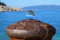 Glass ball lying on a rusty bollard