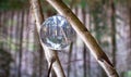 A glass ball rests between two branches Royalty Free Stock Photo