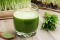 A glass of barley grass juice with young barley grass and powder Royalty Free Stock Photo