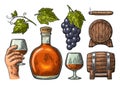 Glass, barrel and bottle of cognac. Vintage engraving illustration Royalty Free Stock Photo