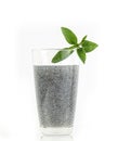 Glass of basil seeds isolated on white