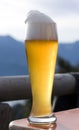 glass of bavarian white beer