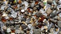 Glass Beach II