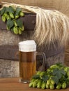 A glass of beer Royalty Free Stock Photo