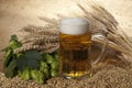 A glass of beer Royalty Free Stock Photo