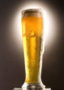 Glass of beer Royalty Free Stock Photo