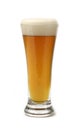 Glass of Beer