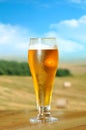 Glass of beer Royalty Free Stock Photo