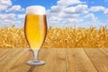 Glass of beer against wheat field Royalty Free Stock Photo