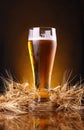 Glass of beer with barley ears Royalty Free Stock Photo