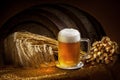 Glass of beer with barley and wheat Royalty Free Stock Photo