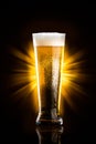 Glass of beer on black background Royalty Free Stock Photo