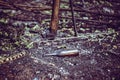 A glass beer bottle lies on the ground Royalty Free Stock Photo