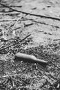 Glass beer bottle lies on the scorched ground Royalty Free Stock Photo