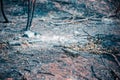 Glass beer bottle lies on the scorched ground Royalty Free Stock Photo