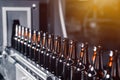 Glass beer bottles of brown color on the conveyor line of beer bottling close up. Royalty Free Stock Photo