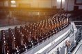 Glass beer bottles of brown color on the conveyor line of beer bottling close up Royalty Free Stock Photo