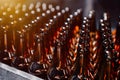 Glass beer bottles of brown color on the conveyor line of beer bottling close up. Royalty Free Stock Photo