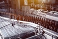 Glass beer bottles of brown color on the conveyor line of beer bottling close up. Royalty Free Stock Photo