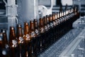 Glass beer bottles of brown color on the conveyor line of beer bottling close up. Royalty Free Stock Photo