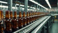 glass beer bottles a conveyor belt automation production brewery Royalty Free Stock Photo