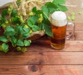 Glass of beer, branches of hops, barley and wheat spikes Royalty Free Stock Photo