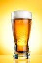 Glass of beer close-up with froth Royalty Free Stock Photo