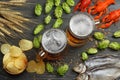 Glass beer with crawfish, dried fish and hop cones on dark wooden background. Beer brewery concept. Beer background. top view