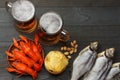 Glass beer with crawfish, dried fish and wheat ears on dark wooden background. Beer brewery concept. Beer background. top view Royalty Free Stock Photo