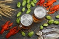 Glass beer with crawfish, dried fish and wheat ears on dark wooden background. Beer brewery concept. Beer background. top view Royalty Free Stock Photo
