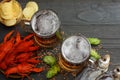 Glass beer with crawfish, dried fish and wheat ears on dark wooden background. Beer brewery concept. Beer background. top view Royalty Free Stock Photo