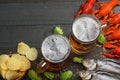 Glass beer with crawfish, dried fish and wheat ears on dark wooden background. Beer brewery concept. Beer background. top view Royalty Free Stock Photo