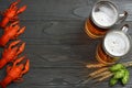 Glass beer with crawfish, hop cones and wheat ears on dark wooden background. Beer brewery concept. Beer background. top view Royalty Free Stock Photo