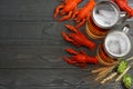 Glass beer with crawfish, hop cones and wheat ears on dark wooden background. Beer brewery concept. Beer background. top view Royalty Free Stock Photo