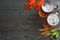 Glass beer with crawfish, hop cones and wheat ears on dark wooden background. Beer brewery concept. Beer background. top view Royalty Free Stock Photo