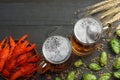 Glass beer with crawfish, hop cones and wheat ears on dark wooden background. Beer brewery concept. Beer background. top view Royalty Free Stock Photo