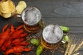 Glass beer with crawfish, hop cones and wheat ears on dark wooden background. Beer brewery concept. Beer background. top view Royalty Free Stock Photo