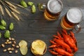 Glass beer with crawfish, hop cones and wheat ears on dark wooden background. Beer brewery concept. Beer background. top view Royalty Free Stock Photo