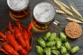 Glass beer with crawfish, hop cones and wheat ears on dark wooden background. Beer brewery concept. Beer background. top view Royalty Free Stock Photo