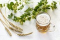 Glass of beer with ears of barley on a wooden background Royalty Free Stock Photo