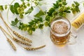 Glass of beer with ears of barley on a wooden background Royalty Free Stock Photo