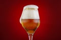 Glass of beer with foam cap Royalty Free Stock Photo