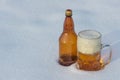 Glass beer with foam, plastic bottle in the snow Royalty Free Stock Photo