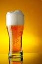 Glass of beer with froth Royalty Free Stock Photo