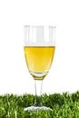 Glass of beer on green grass