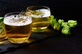 Glass of beer with green hops and wheat ears on dark wooden background. Still life. Copy space Royalty Free Stock Photo